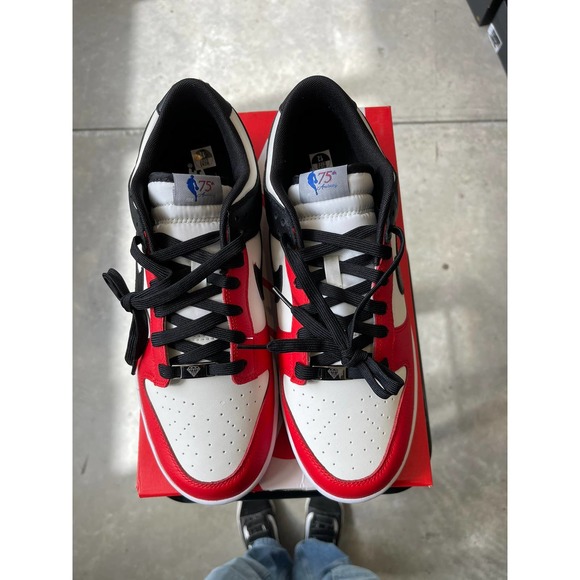 Jordan dunk low EMB Chicago SZ 13 main image 7